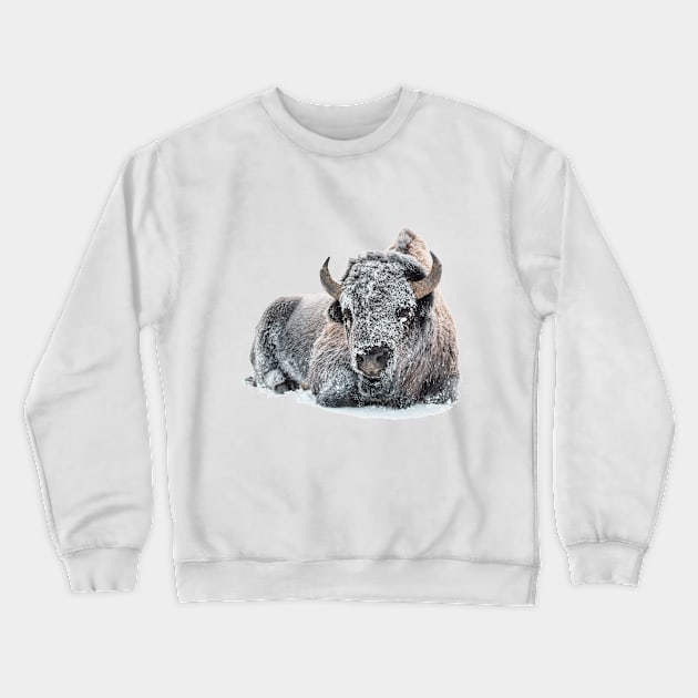 Image: Bison in snow Crewneck Sweatshirt by itemful